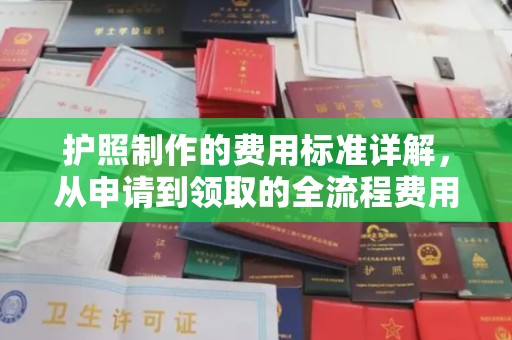 广饶护照制作的费用标准详解，从申请到领取的全流程费用指南
