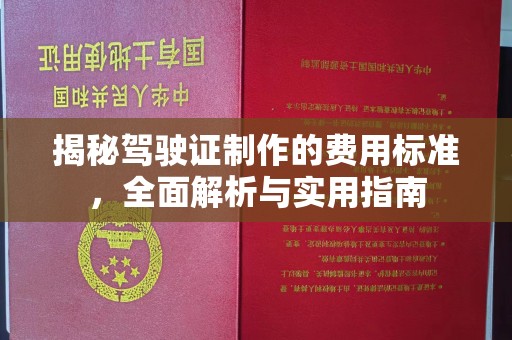 广饶揭秘驾驶证制作的费用标准，全面解析与实用指南