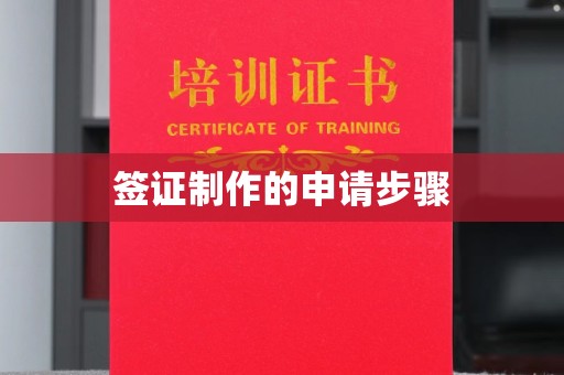 广饶签证制作的申请步骤